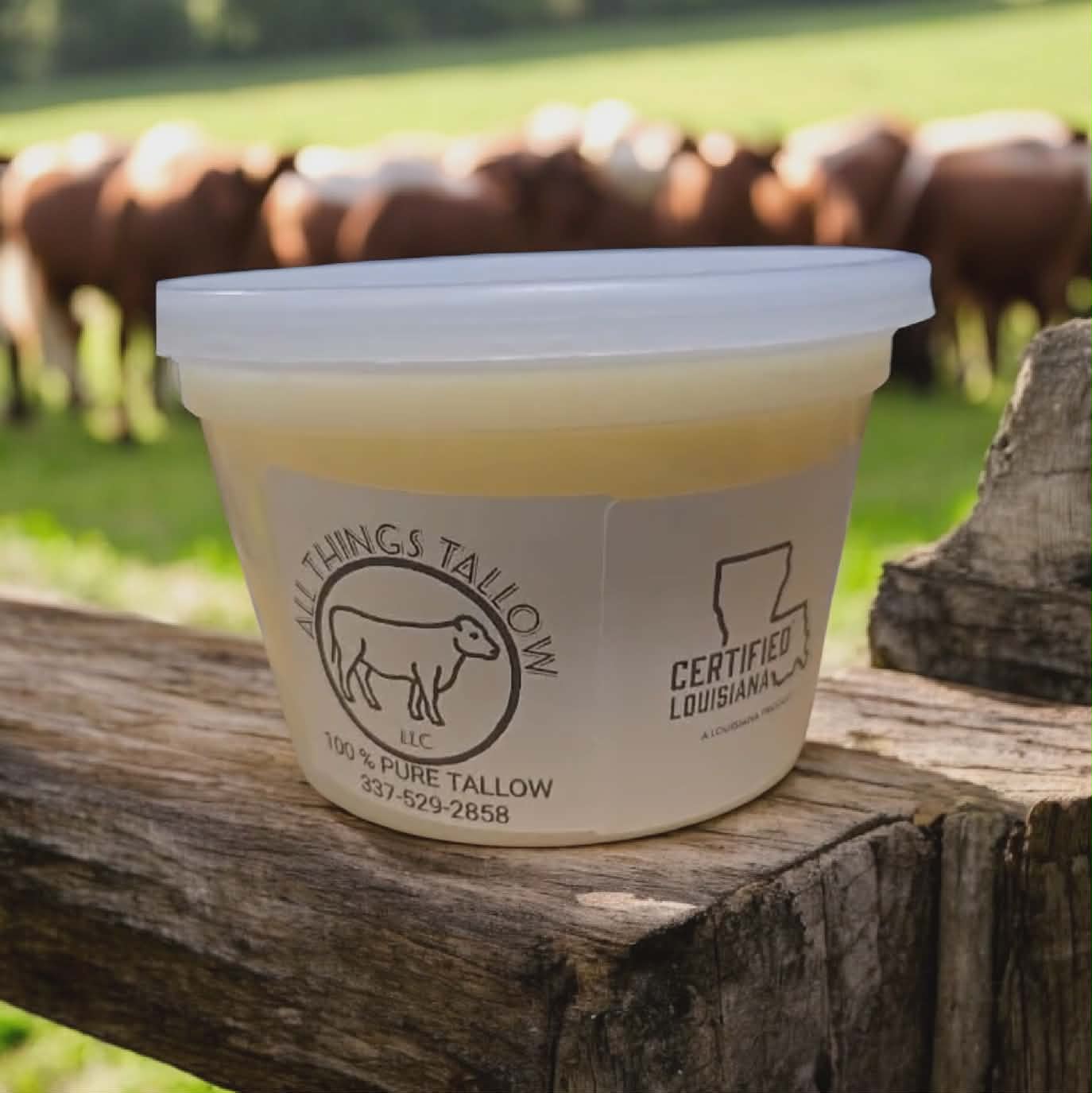 Pint of 100% Pure Grass-Fed Suet Beef Tallow